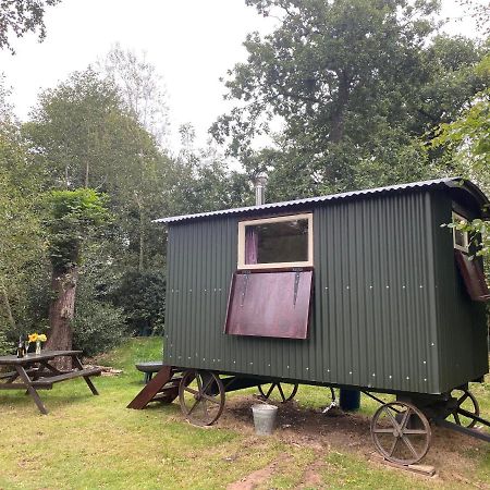 The Shepherd'S Hut - Wild Escapes Wrenbury Off Grid Glamping - Ages 12 And Over Baddiley Esterno foto