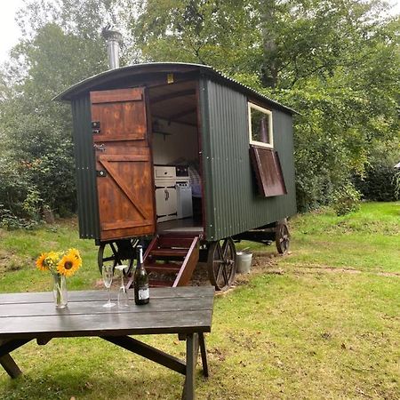 The Shepherd'S Hut - Wild Escapes Wrenbury Off Grid Glamping - Ages 12 And Over Baddiley Esterno foto
