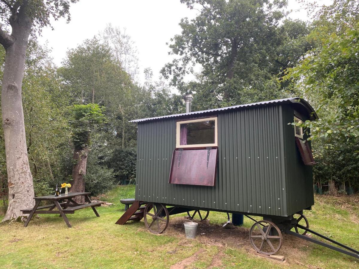 The Shepherd'S Hut - Wild Escapes Wrenbury Off Grid Glamping - Ages 12 And Over Baddiley Esterno foto