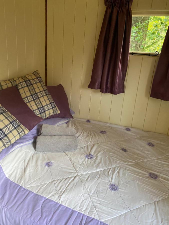 The Shepherd'S Hut - Wild Escapes Wrenbury Off Grid Glamping - Ages 12 And Over Baddiley Esterno foto